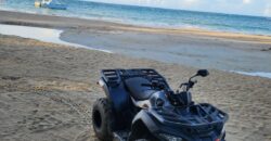 Rental ATVs