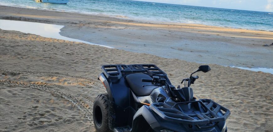 Rental ATVs