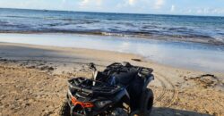 Rental ATVs