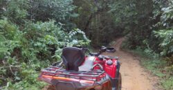 Rental ATVs