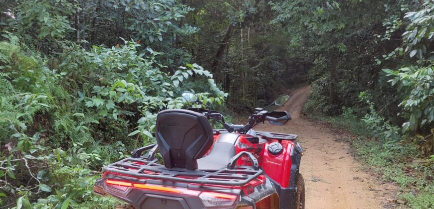 Rental ATVs