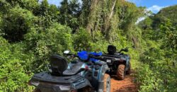 Rental ATVs