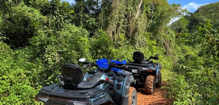 Rental ATVs