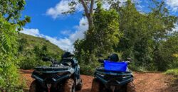 Rental ATVs