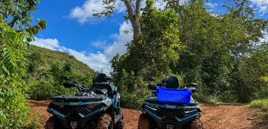 Rental ATVs