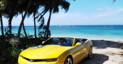 Rental cars